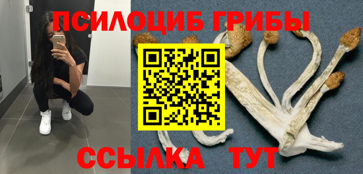 Псилоцибиновые грибы ЛСД Красноармейск