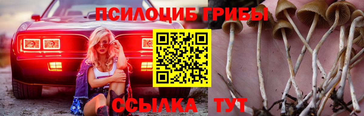 Красноармейск  Галлюциногенные грибы Psilocybine cubensis  Галлюциногенные грибы Psilocybine cubensis  Вход с VPN 